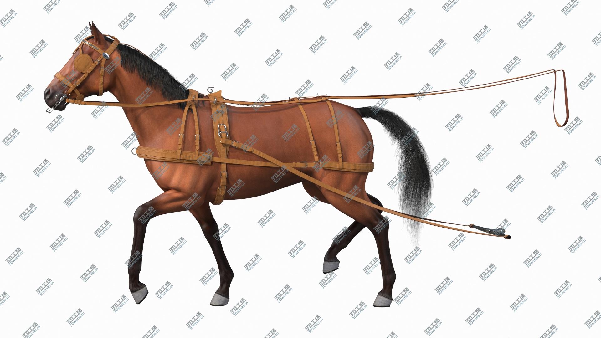 images/goods_img/20210313/Horse Drawn Leather Single Driving Harness Walking Pose Fur 3D model/2.jpg